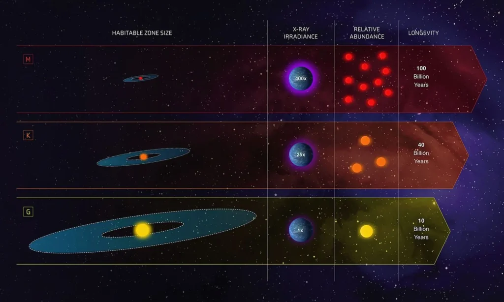 Este infográfico apresenta uma comparação entre três tipos de estrelas encontradas na nossa galáxia: as estrelas do tipo G, semelhantes ao Sol; as anãs K, que possuem menor massa e temperatura do que o Sol; e as anãs M, ainda mais frias e com brilho reduzido, caracterizadas por sua coloração avermelhada.Crédito: NASA, ESA e Z. Levy (STScI)